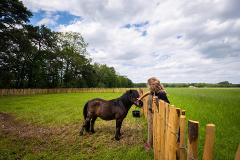 Kind aait een pony over het hek in een groene weide bij Papillon Country Resort in Overijssel, Nederland.