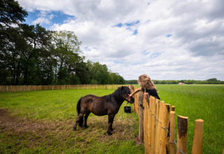 Kind aait een pony over het hek in een groene weide bij Papillon Country Resort in Overijssel, Nederland.