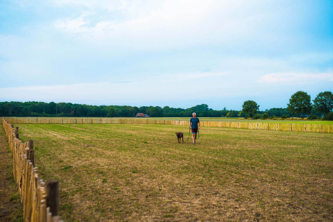 Man wandelt met hond in een omheind veld bij Papillon Country Resort, een vakantiepark in Overijssel, Nederland.