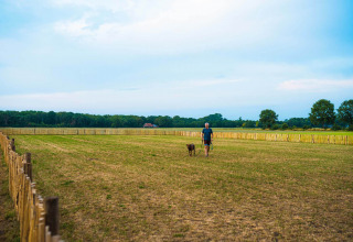 Man wandelt met hond in een omheind veld bij Papillon Country Resort, een vakantiepark in Overijssel, Nederland.