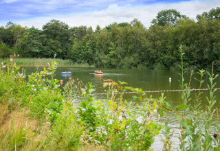 Rustig meer bij Papillon Country Resort in Overijssel, Nederland, met opblaasboten en omringend groen bos.