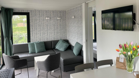 Moderne woonkamer in Bungalow Cottage Prestige op Papillon Country Resort met zetel, tv en tulpenboeket.