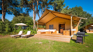 Komfortabler Safari-Zelt-Lodge im Papillon Country Resort in den Niederlanden mit Terrasse und Sonnenliegen.
