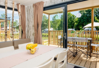 Moderne Fish Cabin Deluxe lodge met eethoek en terras op Papillon Country Resort in Nederland.