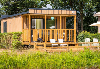 Fish Cabin Deluxe al Papillon Country Resort nei Paesi Bassi, moderno lodge con terrazza e lettini al sole.