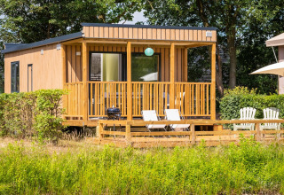 Fish Cabin Deluxe au Papillon Country Resort, Pays-Bas, lodge moderne avec terrasse et chaises longues au soleil.