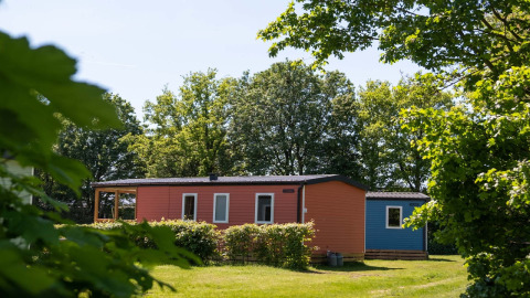Fischhütte im Papillon Country Resort in den Niederlanden, umgeben von Bäumen und grüner Natur.