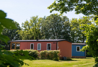 Fischhütte im Papillon Country Resort in den Niederlanden, umgeben von Bäumen und grüner Natur.