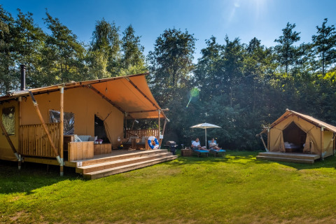 Safari tent Premium bij Papillon Country Resort in Nederland met zonnige terrassen en groene omgeving.