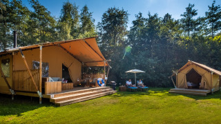 Tenda Safari Premium al Papillon Country Resort nei Paesi Bassi, con spaziose tende e verde intorno.