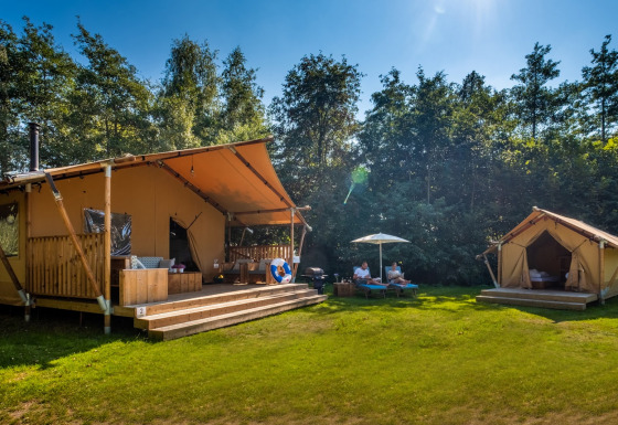 Safari tent Premium bij Papillon Country Resort in Nederland met zonnige terrassen en groene omgeving.