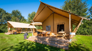 To rummelige safaritelte kaldet Spotty Lodge Family på en grøn græsplæne omgivet af træer i solskin.