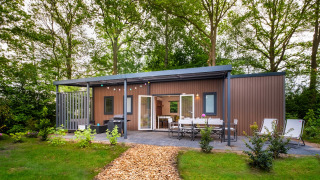 Cottage Next XXL Family-lodge på Papillon Country Resort, omgivet af træer og natur i Holland.