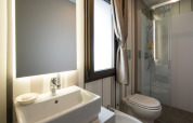 Moderne badkamer met douche, wastafel en spiegel in een Cottage Next XL Luxury Superior bij Papillon Country Resort.