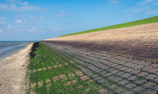 Steindamm an der Küste bei Scherpenisse, Zeeland, Niederlande, mit Algenbewuchs auf den Steinen.