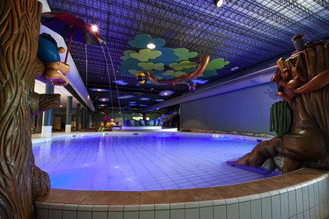 Indendørs swimmingpool - Feriepark BreeBronne - Maasbree, Limburg, Holland