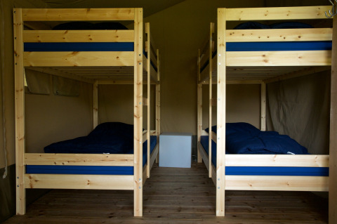Interno di una tenda safari con quattro letti a castello in legno, biancheria blu e pavimento in legno.