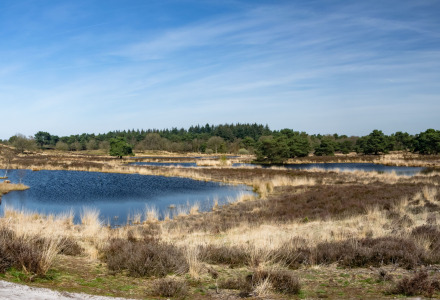 Parque Nacional de Maasduinen, Limburgo, Países Bajos