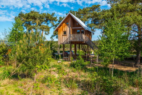 Maison dans les arbres - EuroParcs De Wije Werelt - Otterlo, Gelderland, Pays-Bas
