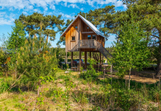 Glamping boomhut accommodatie in een vakantiepark, omgeven door bomen en natuur op een zonnige dag.