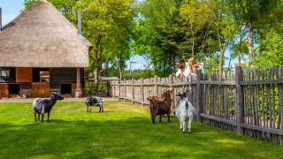 Pradera de animales - EuroParcs De Wije Werelt - Otterlo, Güeldres, Países Bajos