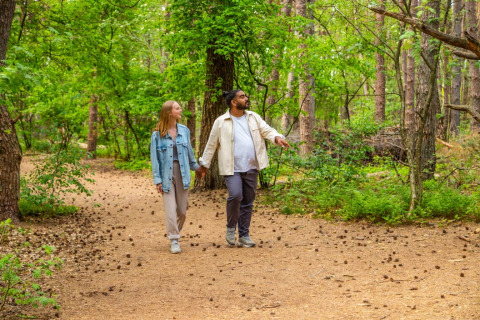 Dans les bois - EuroParcs De Wije Werelt - Otterlo, Gelderland, Pays-Bas