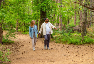 Dans les bois - EuroParcs De Wije Werelt - Otterlo, Gelderland, Pays-Bas