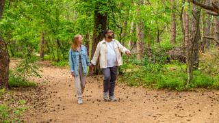 En el bosque - EuroParcs De Wije Werelt - Otterlo, Güeldres, Países Bajos