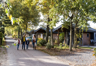 Een gezin wandelt langs moderne glampingaccommodaties in een bosrijk vakantiepark in de herfst.