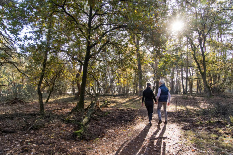 Koppel wandelt hand in hand in een zonnig bospad bij een vakantiepark met glampingaccommodaties.