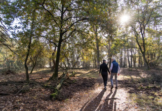 Hiking in the area - EuroParcs De Wije Werelt - Otterlo, Gelderland, Netherlands