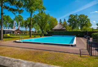 Buitenzwembad bij een vakantiepark met glamping, omgeven door bomen en een blauwe lucht op een zonnige dag.