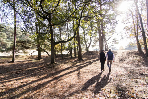 Wandern im Wald - EuroParcs De Wije Werelt - Otterlo, Gelderland, Niederlande