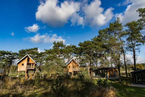 Logements parmi les arbres - EuroParcs De Wije Werelt - Otterlo, Gelderland, Pays-Bas