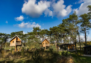 Houten glamping huisjes tussen hoge bomen onder een blauwe lucht met wolken in een vakantiepark.