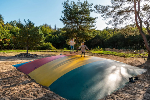 Twee kinderen springen op een kleurrijk luchtkussen in een glamping vakantiepark, omringd door bomen.