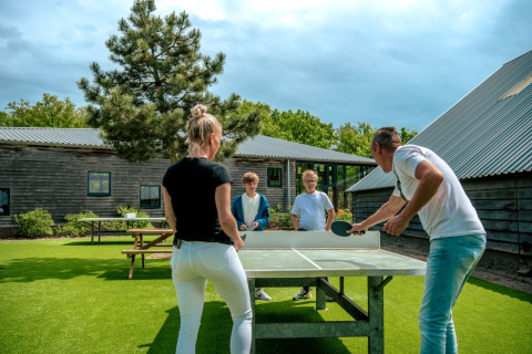 Tischtennisplatte - EuroParcs Ruinen - Ruinen, Drenthe, Niederlande
