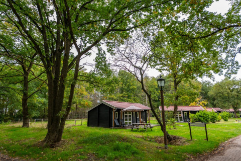 Accommodatie tussen het groen - EuroParcs Ruinen - Ruinen, Drenthe, Nederland