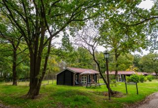 Overnatning i det grønne - EuroParcs Ruinen - Ruinen, Drenthe, Holland