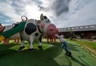 Aire de jeux - EuroParcs Ruinen - Ruinen, Drenthe, Pays-Bas