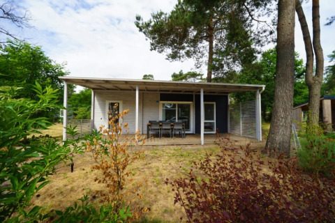 Alojamiento glamping encantador en una moderna cabaña rodeada de naturaleza, árboles y comedor exterior.