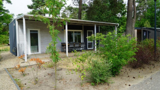 Foto di una moderna sistemazione glamping con terrazza coperta, sedie da esterno e circondata da alberi.