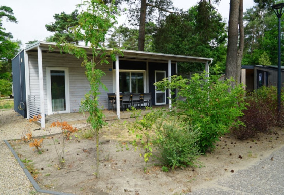 Photo d’un hébergement glamping moderne avec terrasse couverte, chaises d’extérieur et arbres autour.