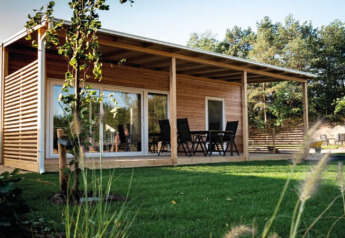 Moderna cabaña de madera con terraza amplia y muebles de exterior, rodeada de césped y árboles verdes.