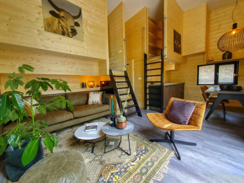Salón de tiny house moderno con paredes de madera, sofá, alfombra, planta verde y escalera al altillo.