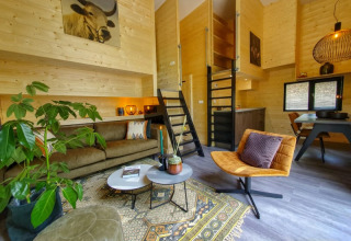 Salón de tiny house moderno con paredes de madera, sofá, alfombra, planta verde y escalera al altillo.