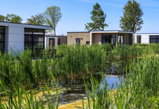 Hébergement au bord de l'eau - EuroParcs Bad Hulckesteijn - Nijkerk, Gelderland, Pays-Bas