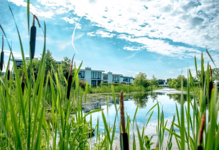 Moderne glamping accommodaties bij een vijver in een groen vakantiepark met rietplanten onder een blauwe lucht.