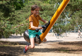 Meisje speelt vrolijk op een schommeltoestel in het bosrijke Recreatiepark Keiheuvel, Antwerpen, België.
