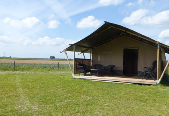 Tienda safari con porche y sillas en Minicamping de Vrolijke Flierefluiter en Países Bajos, vista al campo.